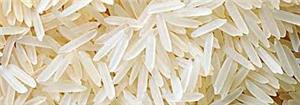 1121 basmati Rice